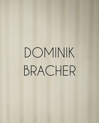 Dominik Bracher